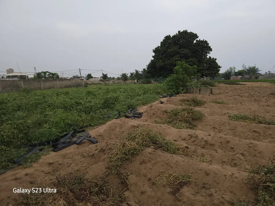 Terrain 3 lots et demi en vente en angle de rue à Baguida – à partir de 45 millions FCFA le lot