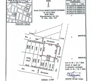 Terrain 1 lot et demi en angle de rue à vendre à Zossimé Lycée – 45 millions FCFA