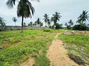 Terrain en vente à Kpogan Agodeke – 25 millions FCFA le lot — photo 2