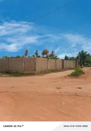 Terrain 1 lot en vente à Zanguera Digbé – 17 millions FCFA