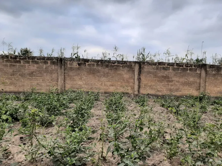 Terrain 4 lots à vendre à Zanguera Dangbessito (Kpalamonou) – prix à partir de 22 millions FCFA le lot