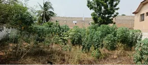 Terrain 1 lot en vente à Adidogomé Avenou – 65 millions FCFA — photo 3