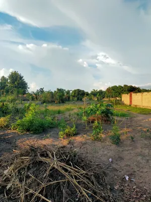 Terrain de plus d'un demi-lot en vente à Adétikopé – 4 millions FCFA — photo 2