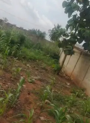 Terrain 1 lot en vente en angle de rue à Segbé – 25 millions FCFA — photo 5