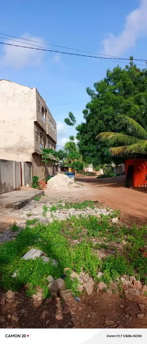 Vente de terrain à Adidogomé Sagbado, 1 lot à déduire sur 2 lots, clôturé – 30 millions FCFA — photo 4