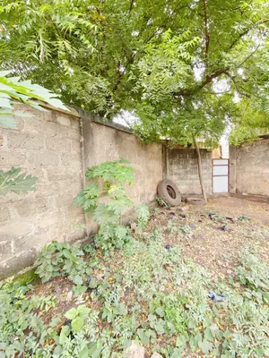 Terrain 2250 m² en vente au bord d'une grande voie à Agoè Légbassito – 35 millions FCFA — photo 5