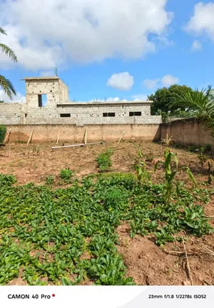 Terrain de 796 m² à vendre à Zanguera Wougomé – 25 millions FCFA — photo 5