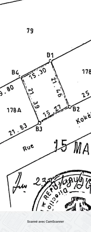 Terrain 300 m² en vente à Assigamé, Grand Marché de Lomé – 300 millions FCFA — photo 2