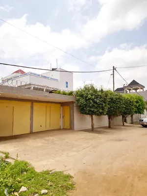 Vente d'une villa à Agoè Zongo École Malaïka, R+1 avec dépendances, jardin, titre foncier personnel – 75 millions FCFA — photo 4