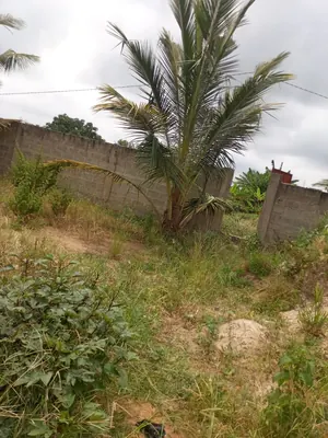 Terrain demi-lot clôturé en vente à Adétikopé – 5 millions FCFA — photo 3
