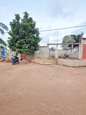 Vente d'une villa à Legbassito Assiko, 4 chambres + dépendance, demi-lot 300 m², à 1 km du goudron – 22 millions FCFA (dernier prix) — photo 10