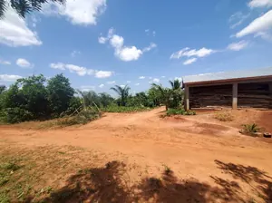 Vente d'un terrain à Kpala Dzigbe, demi-lot, 336 m² – 5 millions FCFA à débattre — photo 6