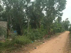 Terrain 2 lots de 1200 m² en vente à Adidogomé Apédokoè – à partir de 23 millions FCFA — photo 2