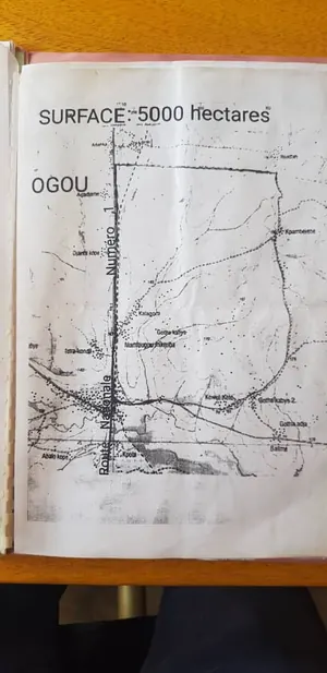 Terrain de 5000 hectares en vente en bordure de la RN1 Lomé–Dapaong à Wahala – 2 500 000 FCFA l'hectare