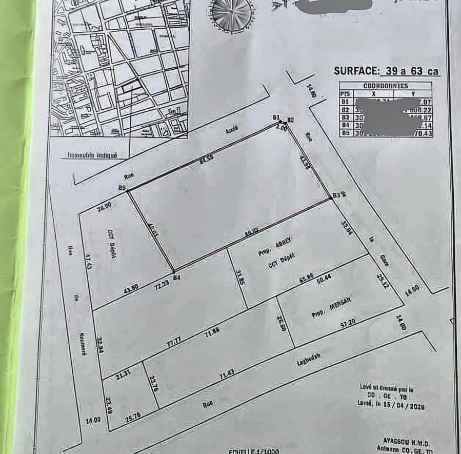 Vente de terrain à Assigamé, 6 lots et demi, angle de rue, bord du goudron – 700 millions FCFA le lot