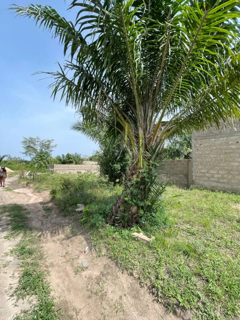 Terrain demi-lot en vente à Zanguéra Atidjin Jerusalem – 7,5 millions FCFA