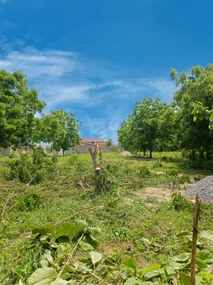 Terrain demi-lot de 300 m² en vente à Zanguera Aképédok – 7,5 millions FCFA — photo 3