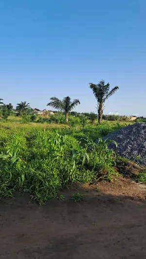 Terrain 20 lots en vente à Adétikopé Kpotavé – 13 millions FCFA