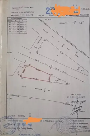 Terrain de 1358 m² en vente en bordure de goudron à Avenou – 100 millions FCFA