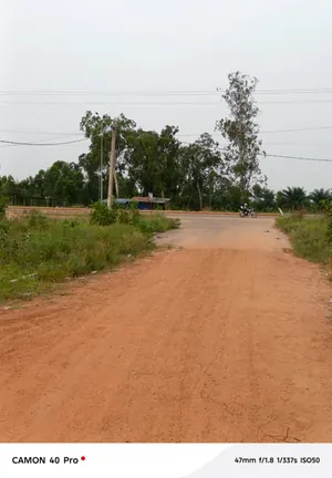 Terrain demi-lot 300 m² en vente à Zanguéra-Aképédo près du goudron Lomé-Kpalimé – 10 millions FCFA — photo 2