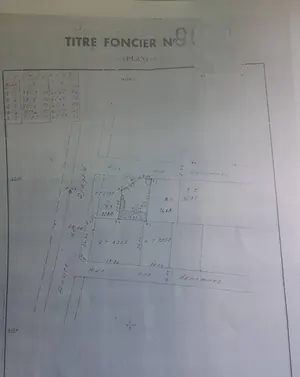 Terrain 1 lot en vente à Nukafu St Joseph, proche du goudron – 100 millions FCFA