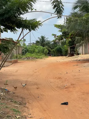 Vente d'un terrain à Légbassito Assiko, demi-lot 300 m², clôturé, titre foncier personnel – 10 millions FCFA — photo 2