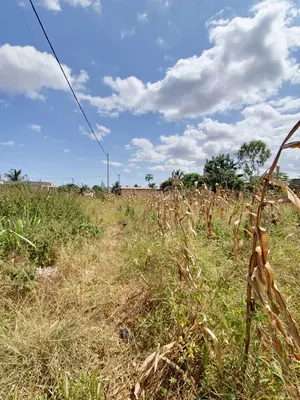 Terrain 150 m² en vente face voie de 16m à Légbassito Kognito – 4 000 000 FCFA — photo 9