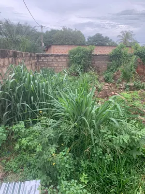 Terrain de 330 m² en vente à Agoè Legbassito – 15 millions FCFA