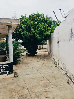 Terrain bâti 3 pièces 998 m² à vendre à Tokoin Super Taco – 60 millions FCFA — photo 5