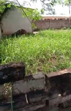 Terrain 600 m² avec bâtie 3 pièces en vente à Adidogomé Sagbado – 18 millions FCFA — photo 2