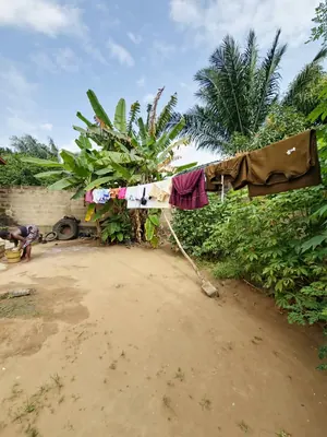 Terrain à vendre à Apessito Gbesets, à 1 km de la grande voie de Legbassito – 15 millions FCFA le lot — photo 3