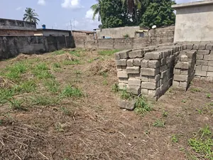 Terrain 987 m² en vente à Attiégou, derrière l'aéroport – 70 millions FCFA — photo 3