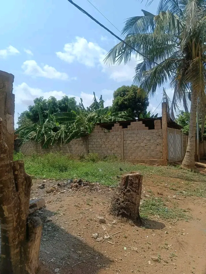 Terrain 1/4 de lot semi-clôturé en vente à Agoè Télésou (Station Zener) – 11 millions FCFA