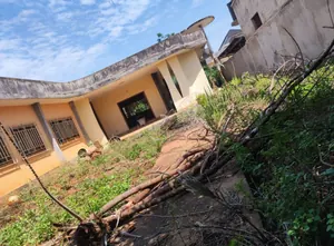Terrain 1429 m² en vente à Avenou – 150 millions FCFA — photo 2