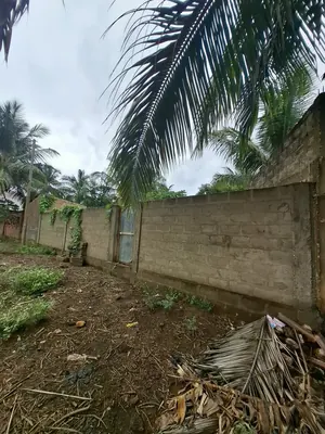Terrain clôturé de 678 m² en vente à Ségbé, proche du goudron – 28 000 000 FCFA — photo 3