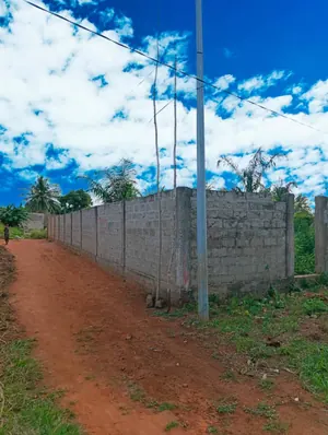 Terrain 1 lot de 544 m² en vente en angle de rue à Zanguéra-Woungomé – 16 millions FCFA — photo 2