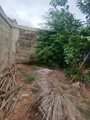 Terrain de 150 m² en vente derrière l'Entreprise de l'Union à Lomé – 8,5 millions FCFA — photo 2