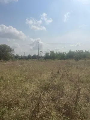 Terrain 2 lots 1200 m² en vente en bord du goudron à Aného – 11 millions FCFA le lot — photo 3