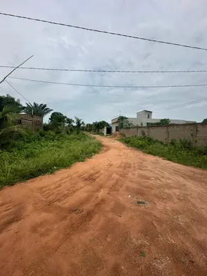 Terrain 4 lots clôturés en vente à Zanguera-Aképé, proche du goudron – 20 millions FCFA le lot — photo 2