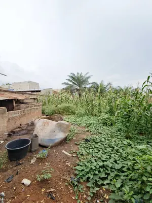 Terrain 2250 m² en vente au bord d'une grande voie à Agoè Légbassito – 35 millions FCFA — photo 4