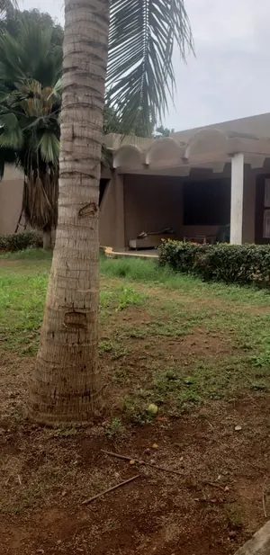 Villa 4 chambres sur 1 lot en vente à Djidjolé – 95 000 000 FCFA