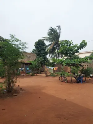 Terrain 570 m² en vente en bordure de goudron à Attiégou – 60 millions FCFA — photo 5