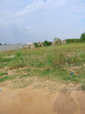 Vente de terrain à Legbassito Ahonkpoé, 2 lots collés, 1200 m², face à l'école primaire – 15 millions FCFA — photo 11
