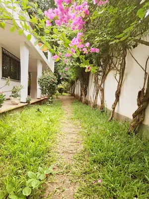 Vente d'une villa à Agoè Cacaveli, meublée avec piscine, 6 chambres sur 2 lots et demi – 350 millions FCFA — photo 21
