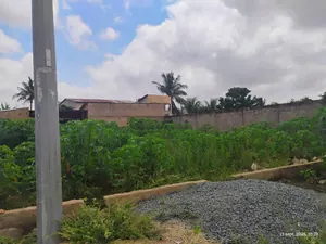 Vente d'une maison à Adidogomé Wonyomé, avec dépendance, titre foncier personnel, demi-lot, à 70m du goudron – 65 millions FCFA à débattre — photo 14