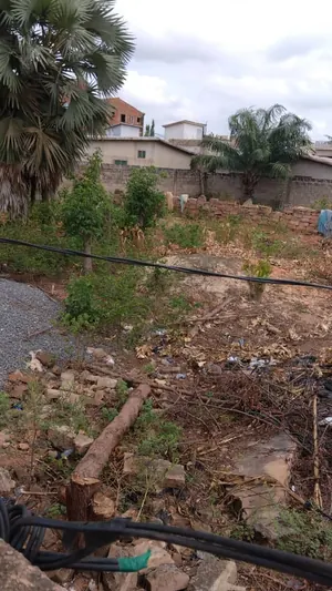 Vente de terrain à Noépé, 2 lots et demi (1330 m²), face goudron, ouvert sur 2 voies – 30 millions FCFA à débattre — photo 4