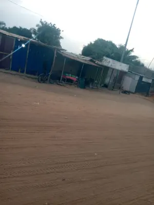 Terrain 1 lot en vente à Agoé Atiomé Kponssé – 25 millions FCFA — photo 5