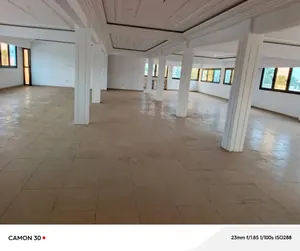 Terrain 6 lots 3600 m² en vente en bordure de grande voie à Adetikopé Kpotave – prix à partir de 20 millions FCFA le lot