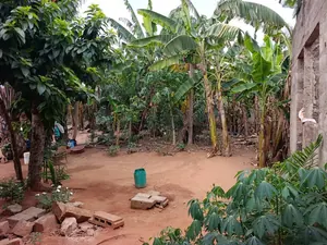 Vente d'un terrain à Zanguéra, demi-lot clôturé à 20 m du goudron – 23 millions FCFA — photo 2