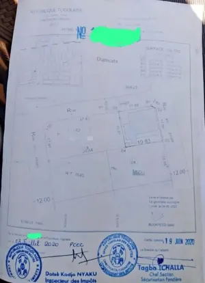 Vente d'un terrain à Tokoin Soted, 393 m², angle de rue, proche du goudron – 70 millions FCFA